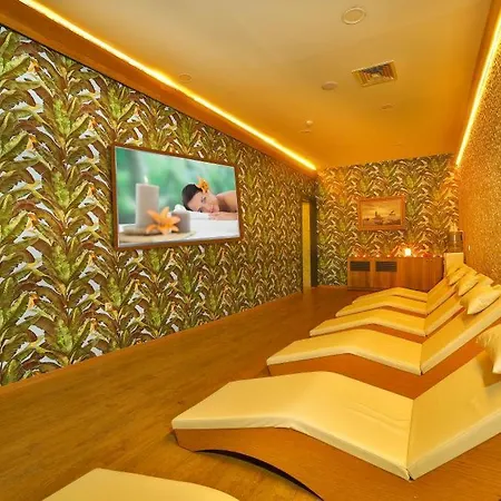 Four Sides Taksim Lion Hotel&spa Isztambul