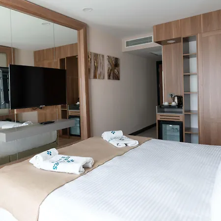 Four Sides Taksim Lion Hotel&spa Hotel 4*