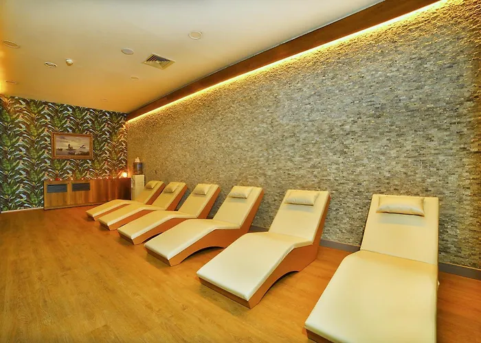 Hotel Four Sides Taksim Lion Hotel&spa