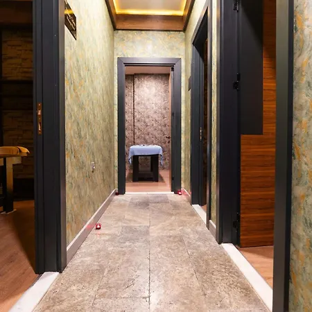 Four Sides Taksim Lion Hotel&spa 伊斯坦布尔