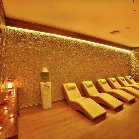 Four Sides Taksim Lion Hotel&spa מלון 4*